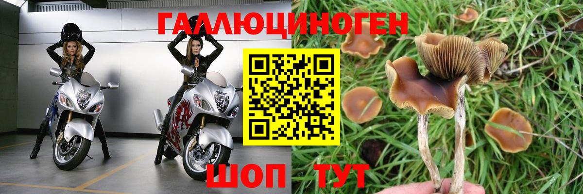 Псилоцибиновые грибы мухоморы Унеча