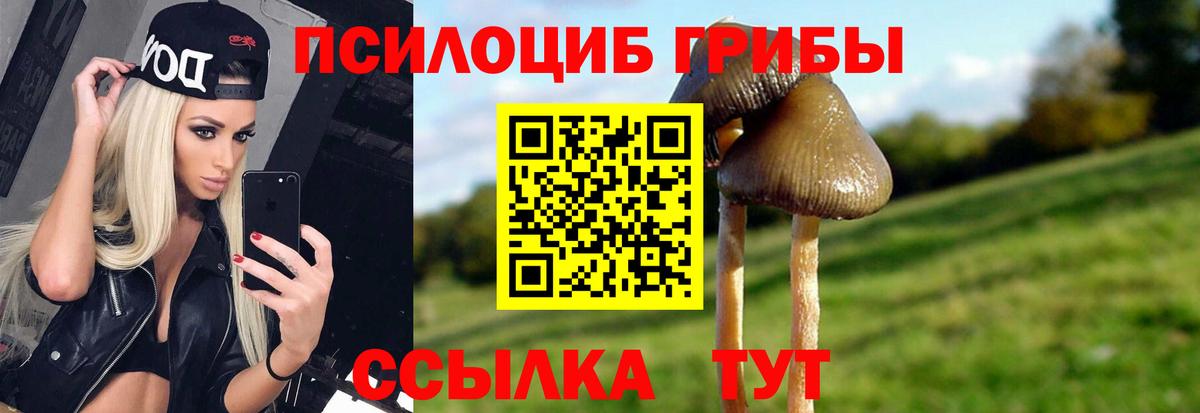 Псилоцибиновые грибы MAGIC MUSHROOMS  Вход с VPN  Псилоцибиновые грибы Psilocybine cubensis  Унеча 